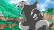 Image via Pokemon Wiki